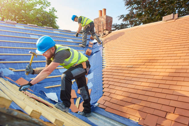 Best Cold Roofs  in Arnold, MO